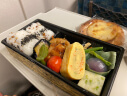 Shinkansen Lunchbox