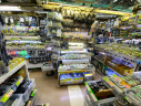 Akihabara Electronic Component Shop